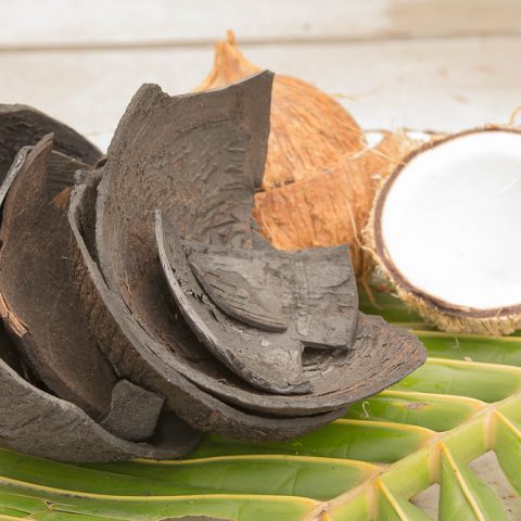 Kokosnuss für Shishakohle. Unsere Kohle wird in Indonesien hergestellt.